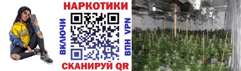 Где найти наркотики Западная Двина СОЛЬ  Мефедрон  Гашиш  Псилоцибиновые грибы  Кокаин 