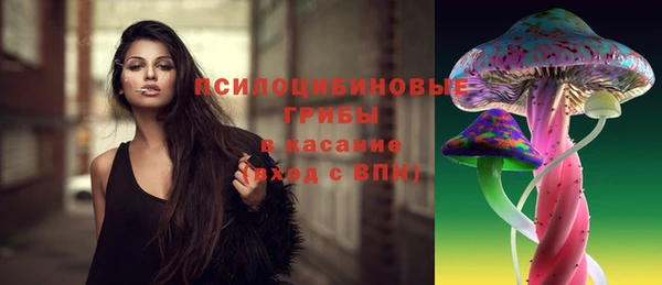 PSILOCYBIN Михайлов