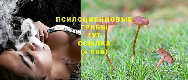 PSILOCYBIN Михайлов