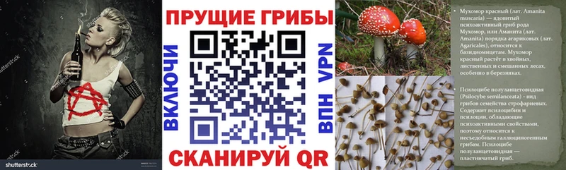 цена   это телеграм  Галлюциногенные грибы прущие грибы  Западная Двина 